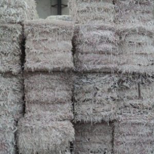 Flyleaf Shavings FS